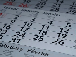 Belegungskalender